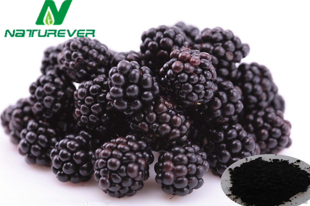 Herbal Extract For Human HealthJiangxi Naturever Biotech Co.,Ltd